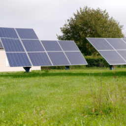 Les Avantages Économiques des Panneaux Solaires Photovoltaïques Macouria